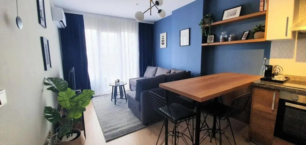 Стамбул: Cozy and Stylish 1bed. apartement fully furnished