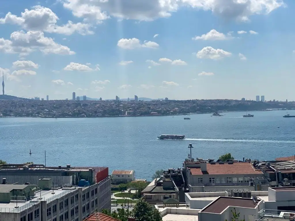 Стамбул: Bosphorus dominant renovated 120M apt with breathtaking view