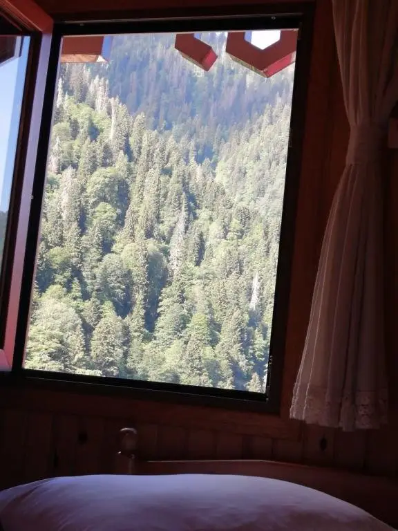 Чамлыхемшин: Ayder Petek Otel
