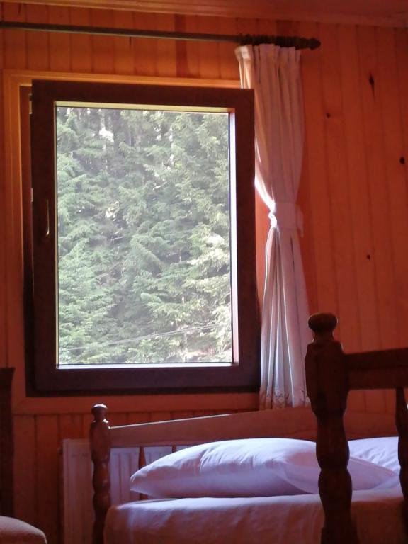 Чамлыхемшин: Ayder Petek Otel