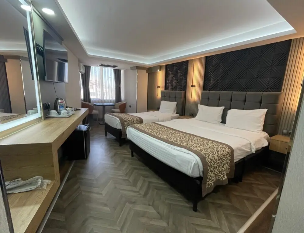 Биледжик: Hotel Eronur