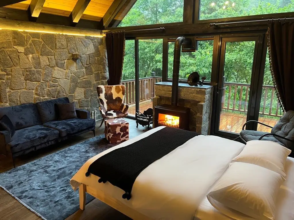 Чамлыхемшин: Ayder Vanak Stone Suites