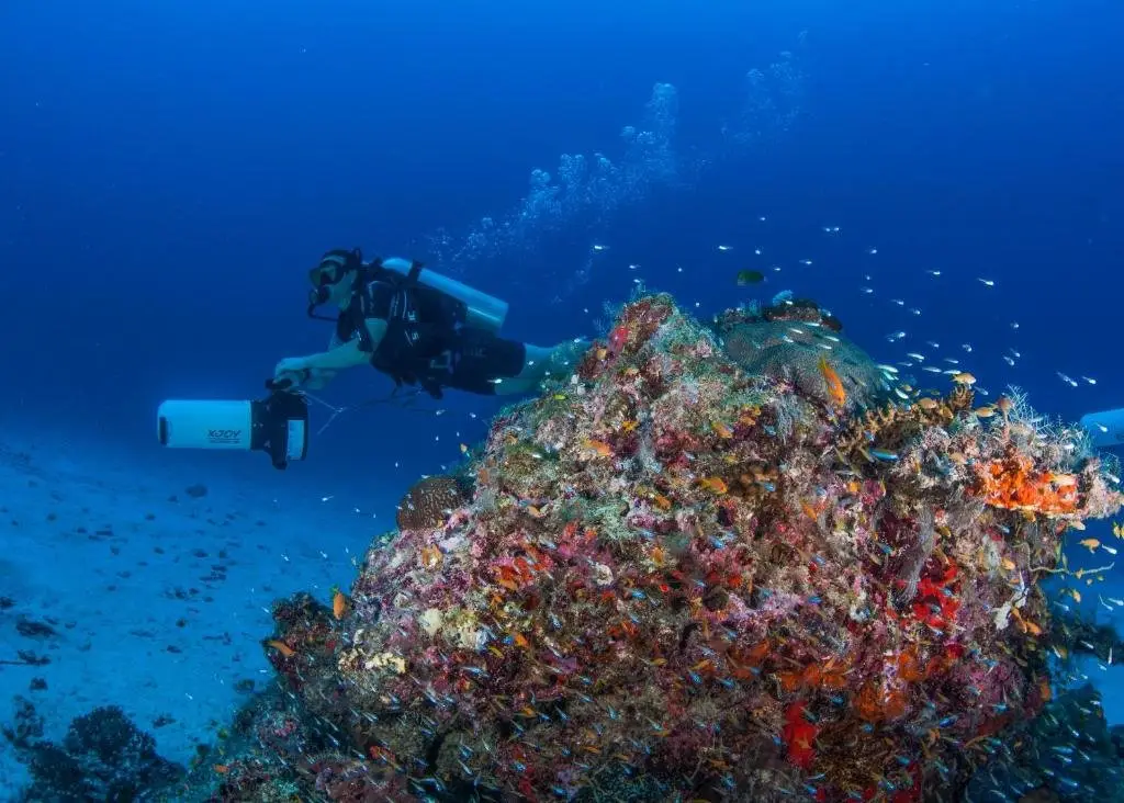 Дхаравандхоо: Faima Fishing Lodge at Daravandhoo