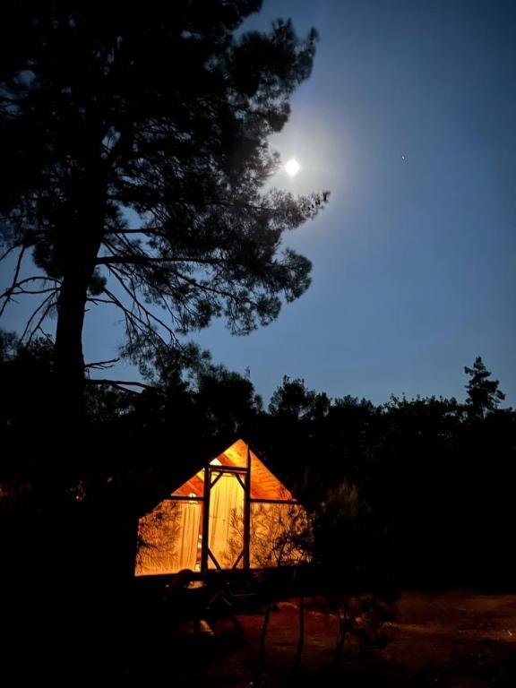 Конья: Zen Bungalov Camping Olympos