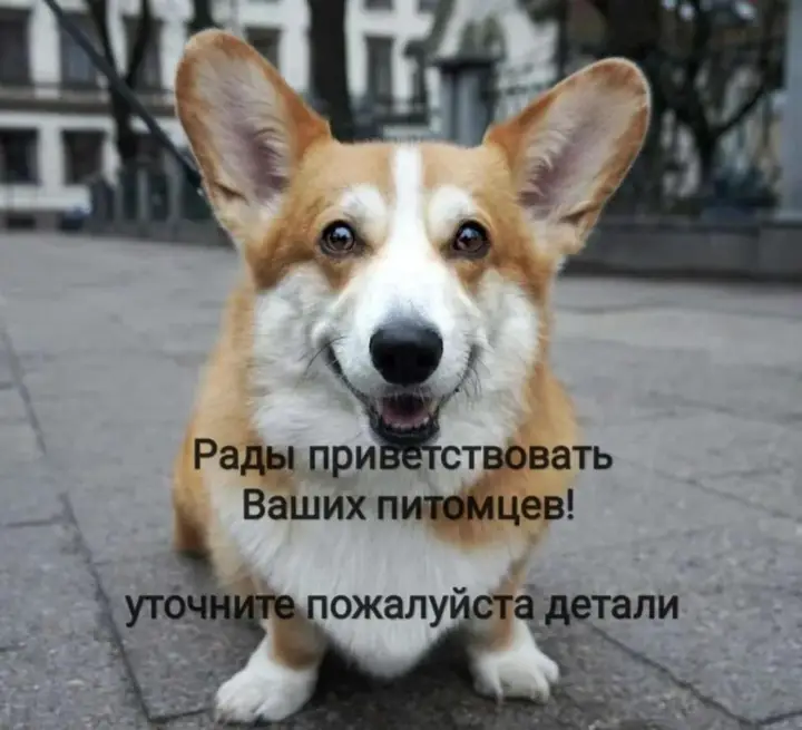 Москва: Отель Резиденция Булгакова