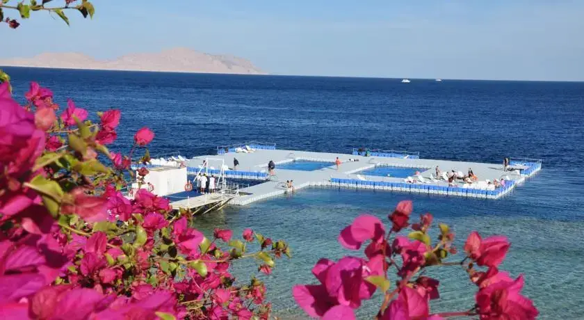 Шарм-эш-Шейх (Шарм-эль-Шейх): Villa 43 in Domina Coral Bay