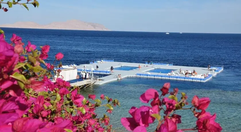 Шарм-эш-Шейх (Шарм-эль-Шейх): Villa 43 in Domina Coral Bay