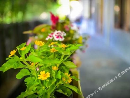 Чиангмай: ThaiQoHo Guesthouse