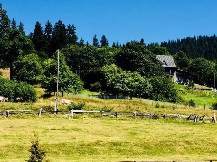 Бакуриани: Hotel Mgzavrebi Bakuriani