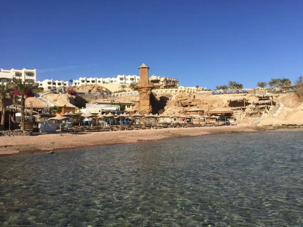 Шарм-эш-Шейх (Шарм-эль-Шейх): Sharks Bay Oasis Apartment