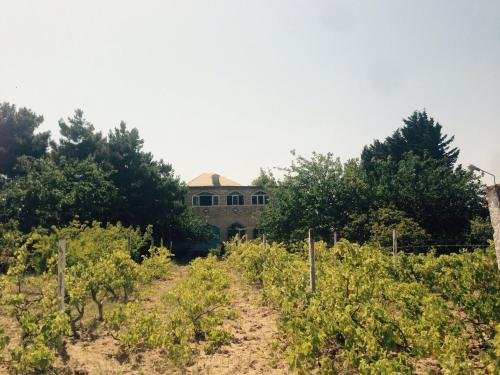 Баку: Comfort House with seaview