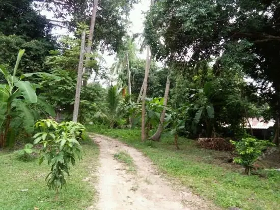Ко-Пханган: Sutha Garden Resort 2