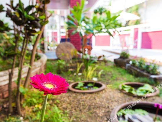 Чиангмай: Joy Homestay 2