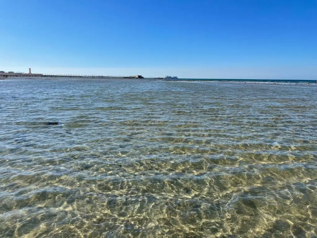 Эль-Гуна: Selena Bay Spa&Resort