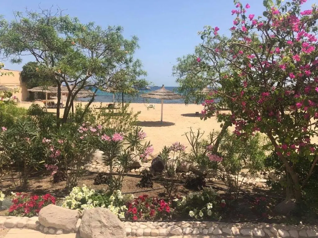 Хургада: Apartment in Hurghada 174