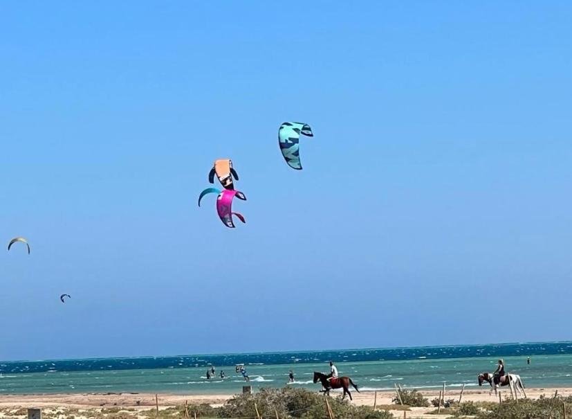 Эль-Гуна: Mangroovy Gouna 1 BR apartment
