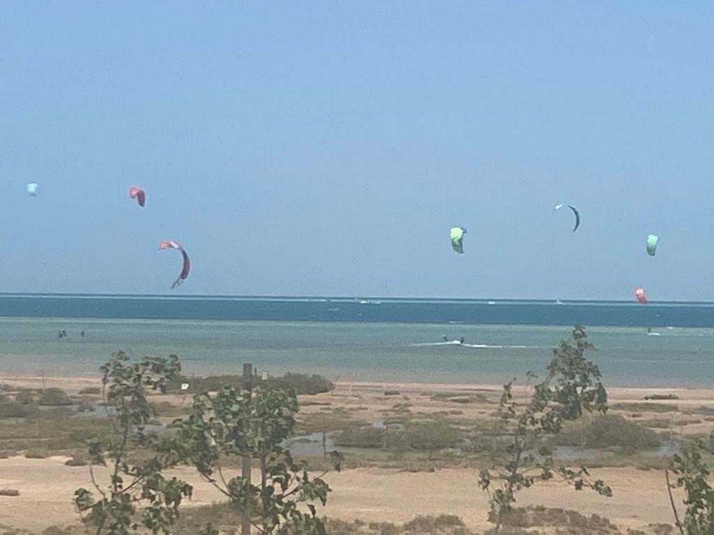 Эль-Гуна: Mangroovy Gouna 1 BR apartment