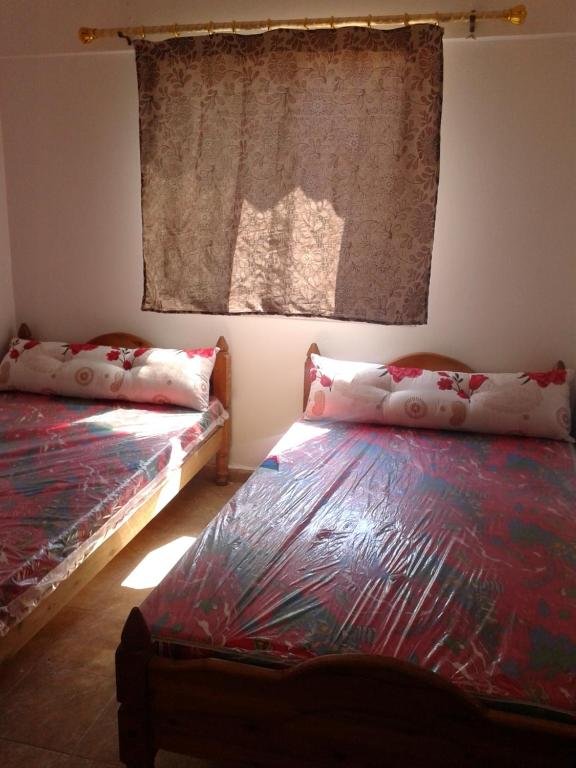 Александрия: Shatie Alnakheel Apartment