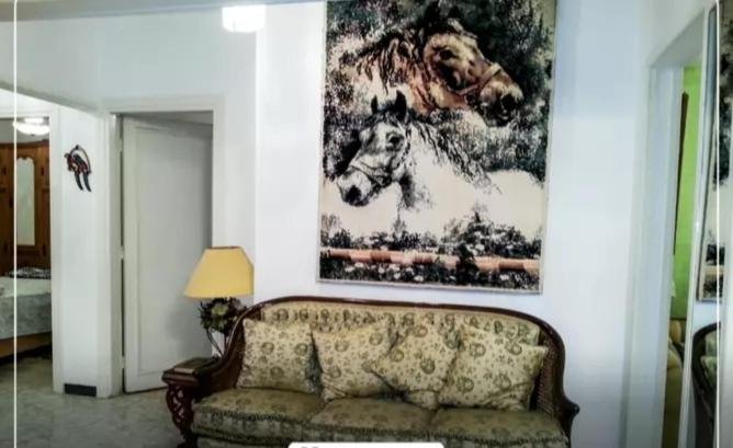 Александрия: Alex apartment