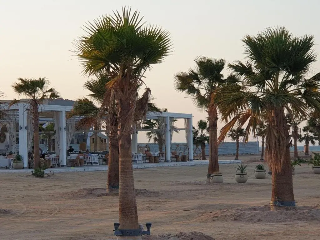 Эль-Гуна: luxury apartment at Mangroovy El Gouna