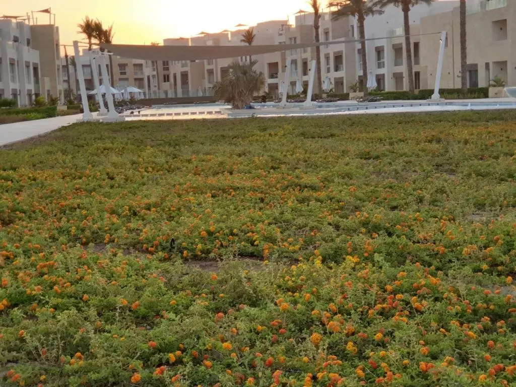 Эль-Гуна: luxury apartment at Mangroovy El Gouna