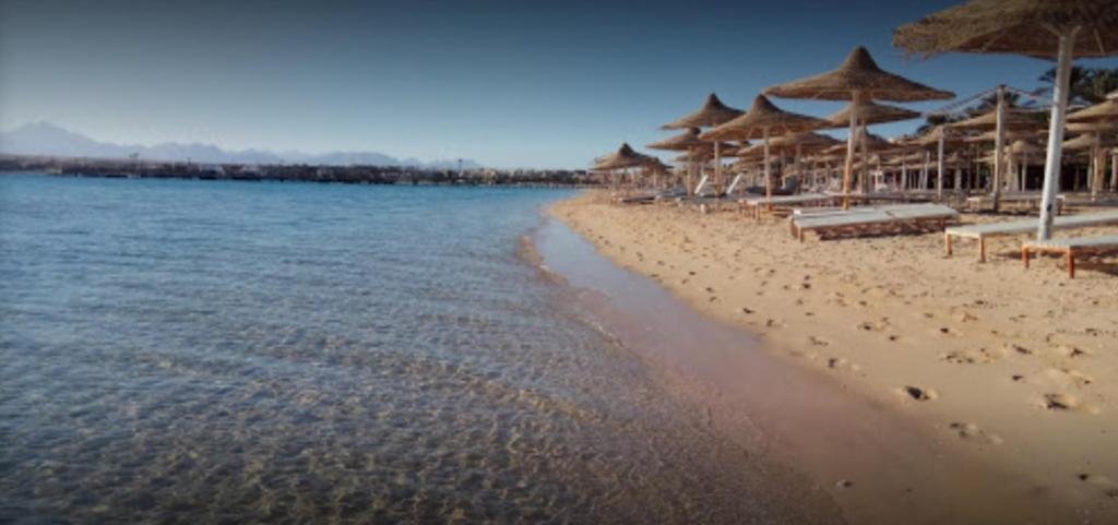 Хургада: Designer Studio With Amazing Views of the Red Sea!