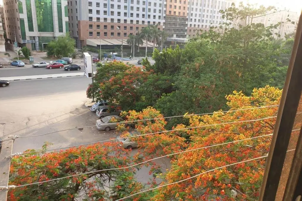 Каир: Comfy 3 Bedrooms Apartment in Cairo Z1