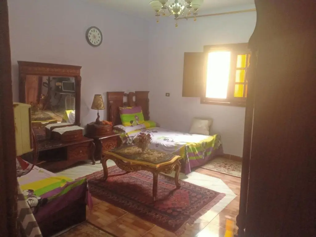 Гиза: Shaer House