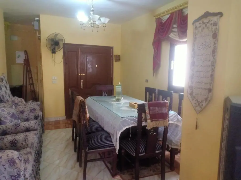Гиза: Shaer House