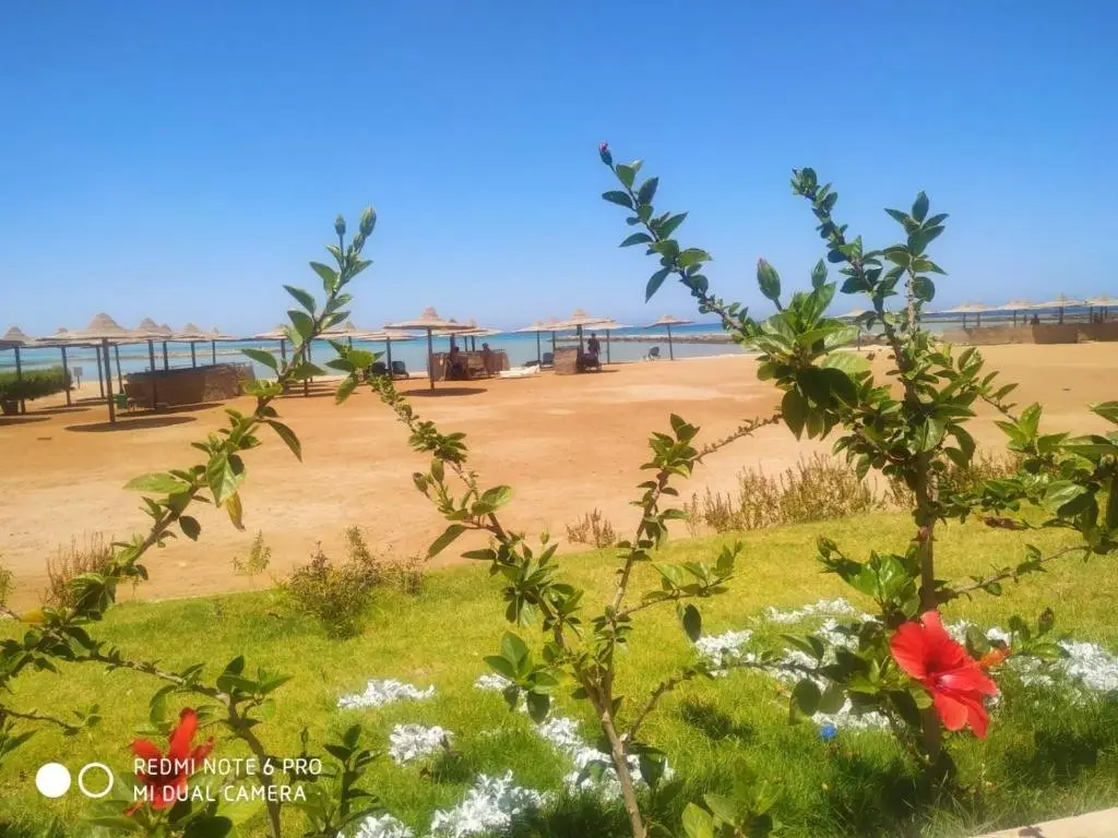 Хургада: Tertels beach resort F 1-7
