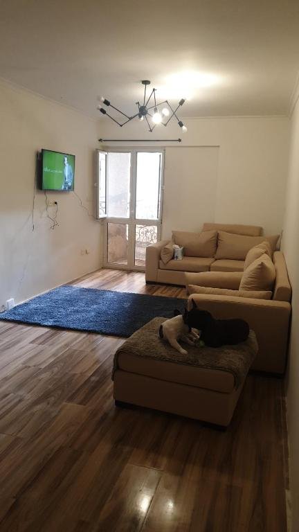 Александрия: The Sunny Studio