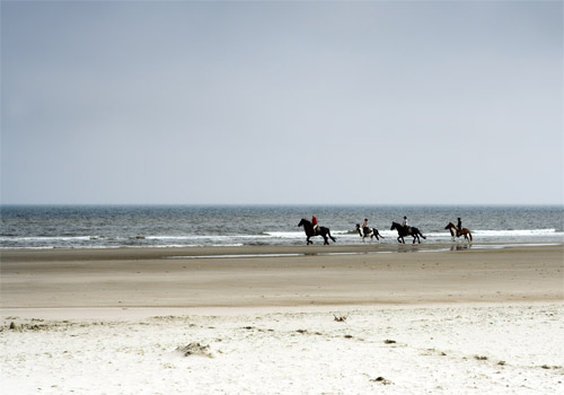Микашевичи: Golden Tulip Noordwijk Beach
