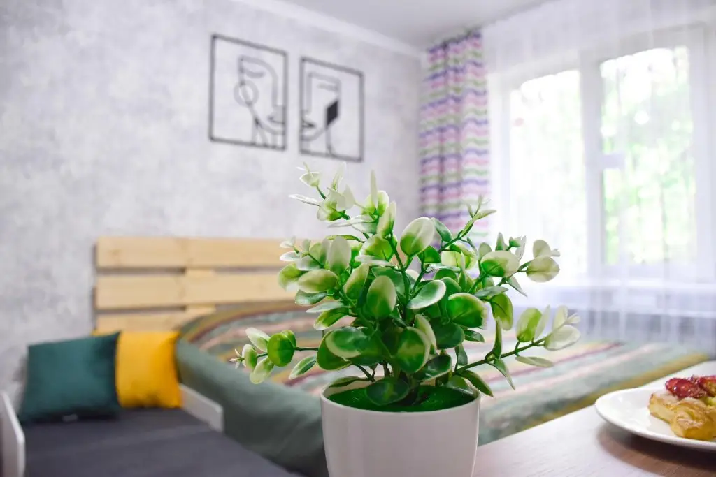 Алматы: YourHouse (ЙоХаус) на улице Си Синхая