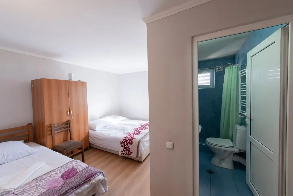 Гудаури: Hotel Zemo Aragvi