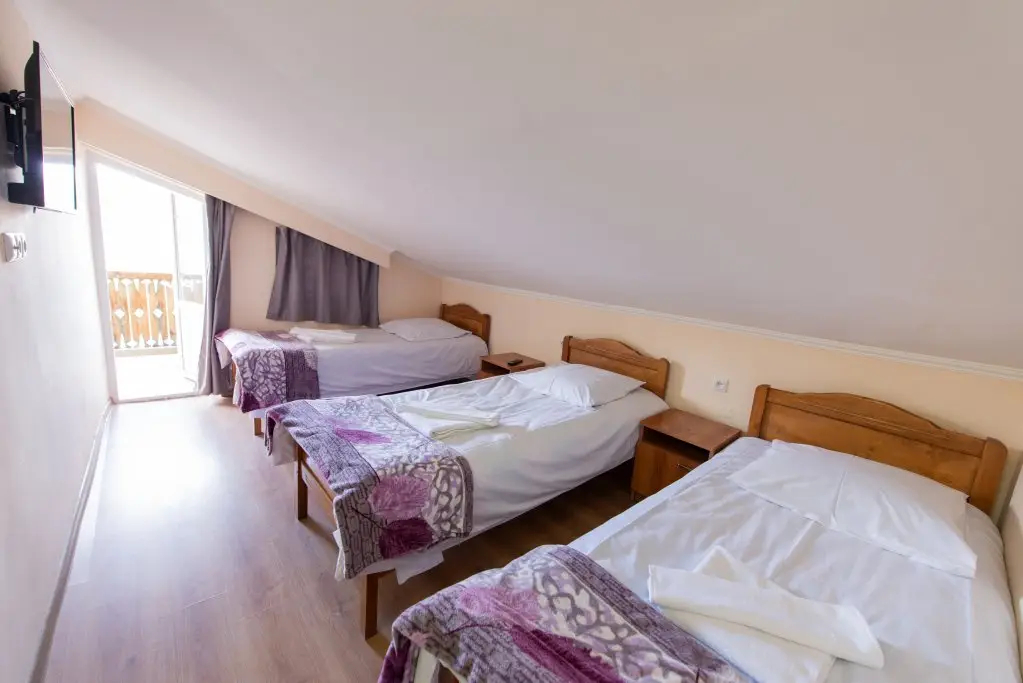 Гудаури: Hotel Zemo Aragvi