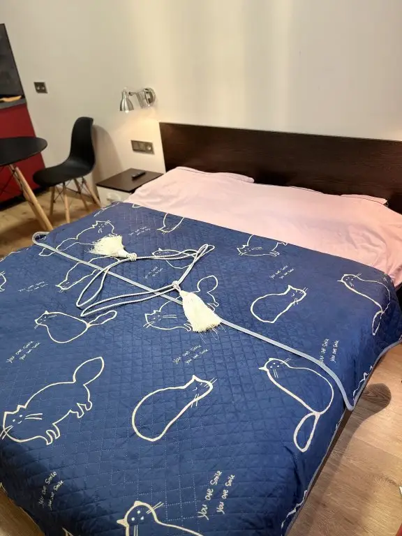 Санкт-Петербург: Апартаменты DreamApart у Кировского Завода