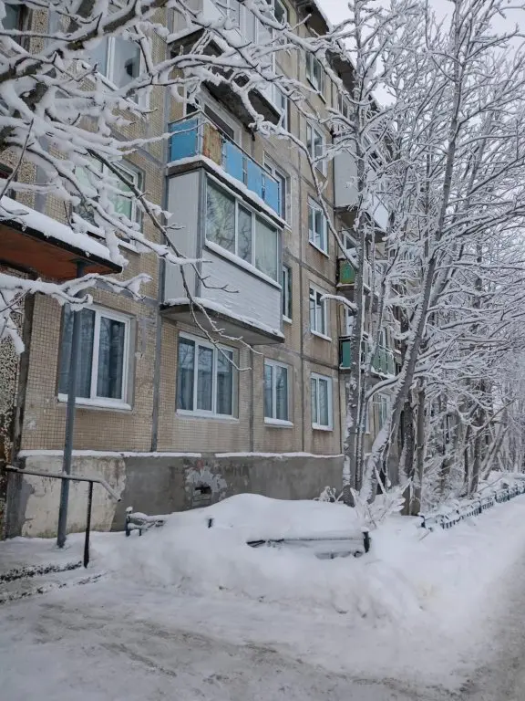 Кировск: Квартира Терра на 50 лет октября 27