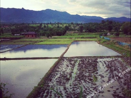 Паи: Baan Ploy Neue Resort