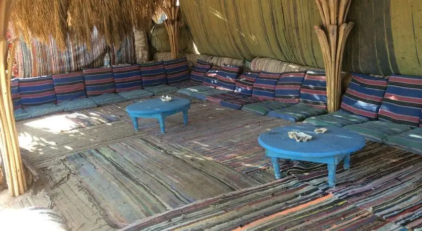 Нувейба: Blue Bus Camp