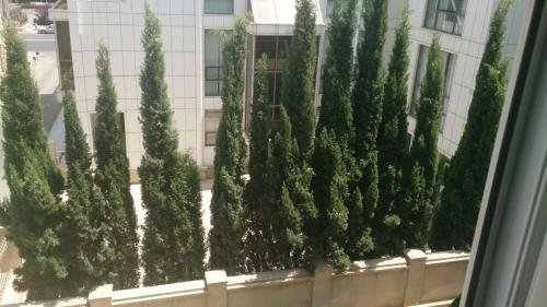 Баку: Nobel Avenue 5 Apartment
