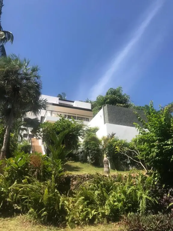 Самуи: Wild Palms