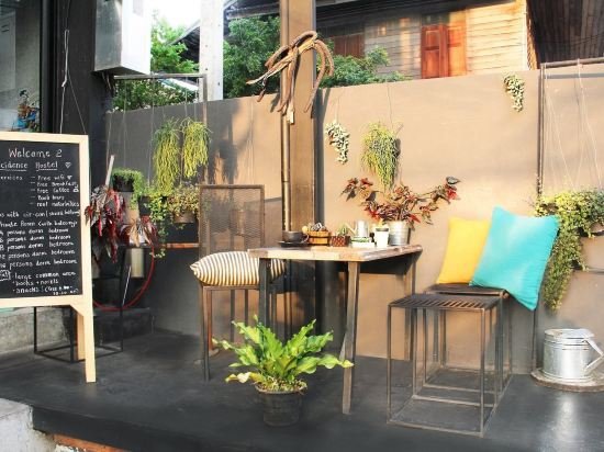 Чиангмай: Coincidence Hostel Chiangmai