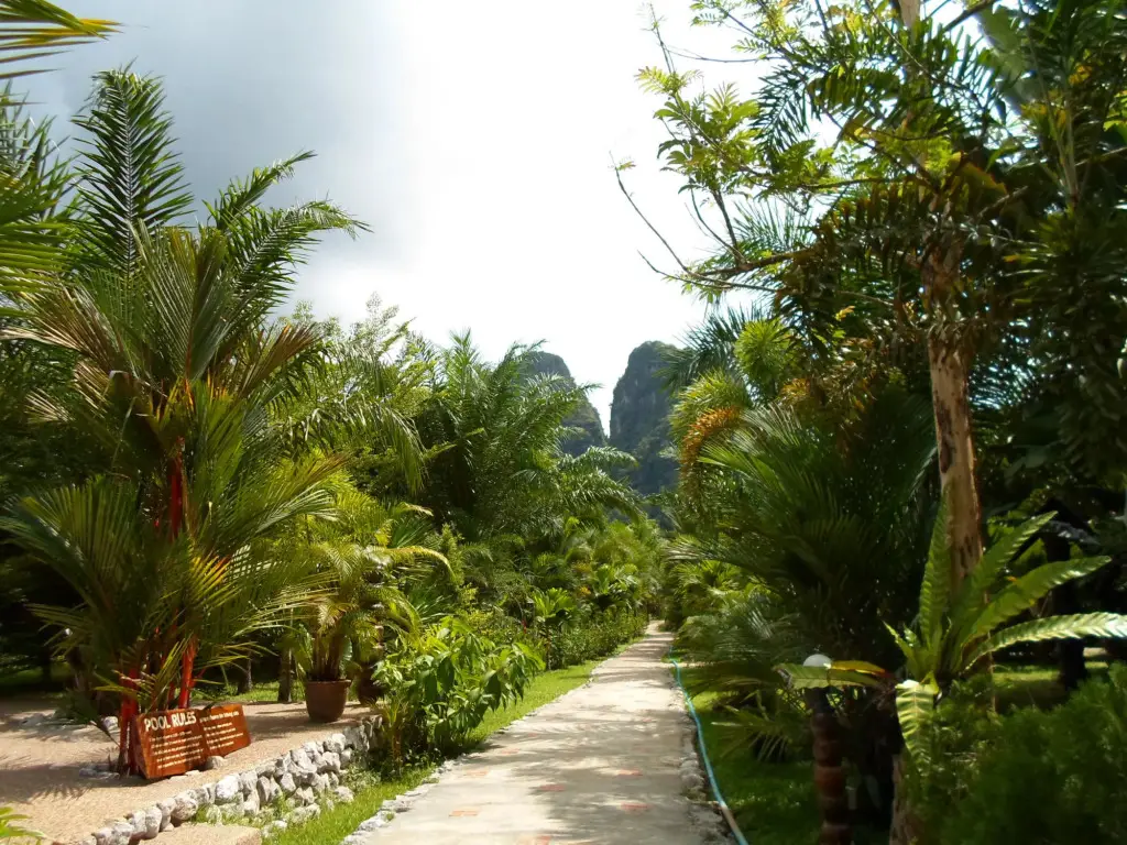 Фаном: Hotel Khao Sok