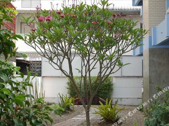 Чиангмай: Grace Cottage  Chiangmai