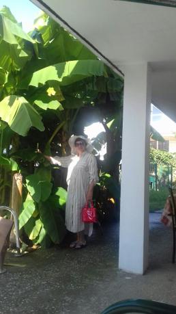 Сочи: Zelenaya Gorka Guest House