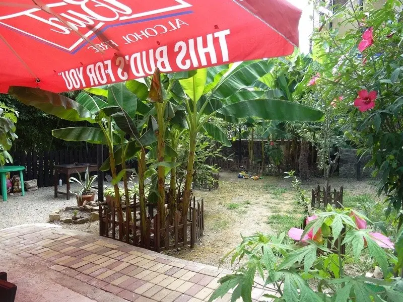 Лоо: Marina Guest House