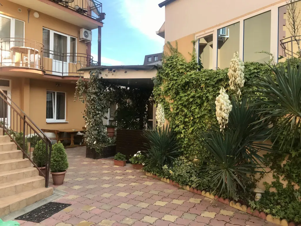 Сочи: Dom S Delfinami Guest House