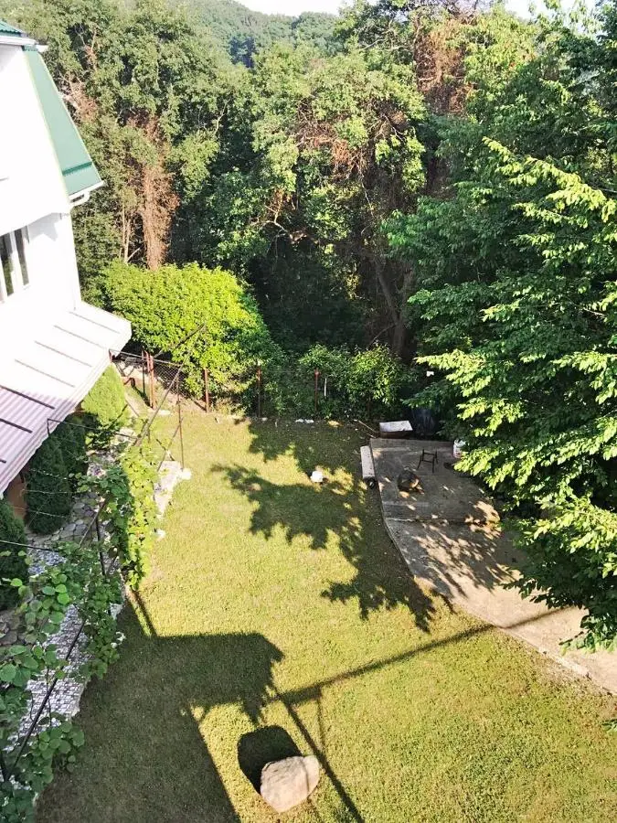 Сочи: Guest house Rosaliya