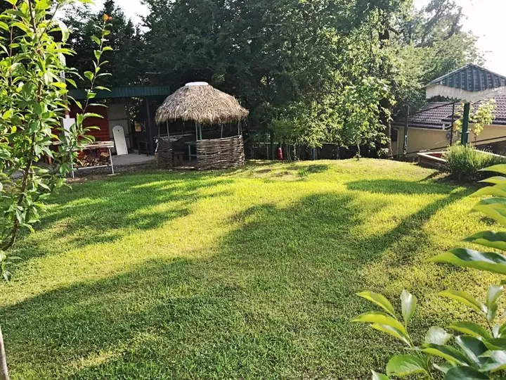 Сочи: Guest house Rosaliya