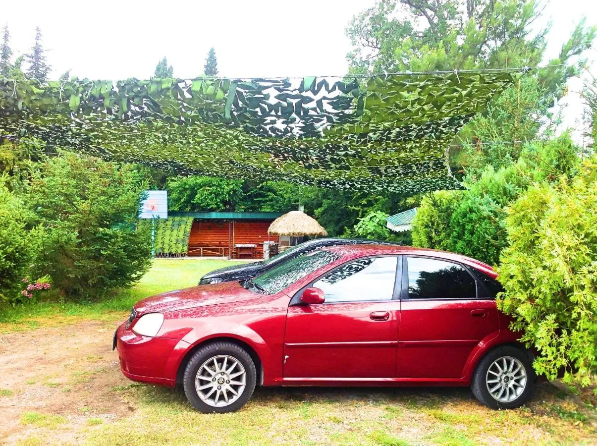 Сочи: Guest house Rosaliya